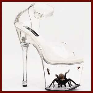 tarantulaheels