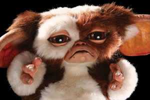 Mogwai Gizmo