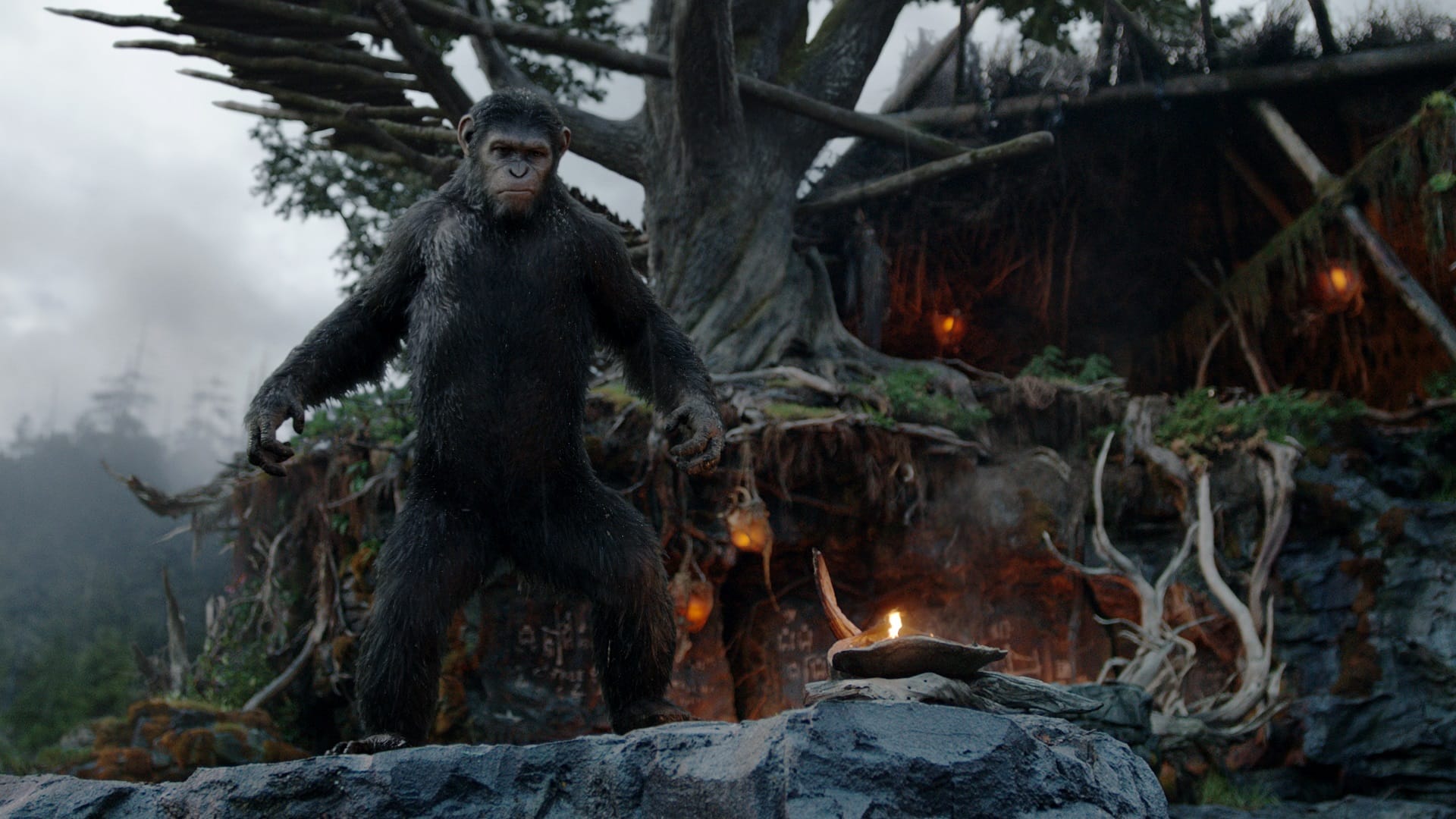 2014-dawn-of-the-planet-of-the-apes