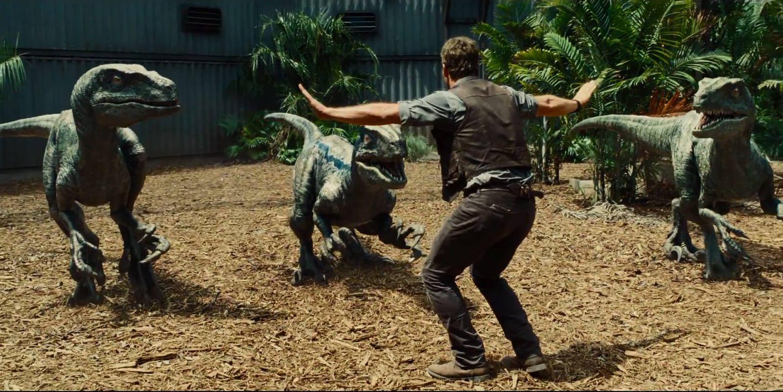 Jurassic World Raptors