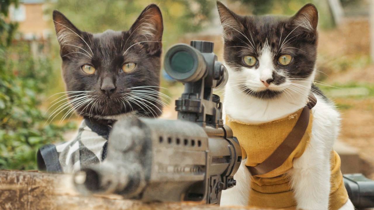 cats-vs-zombies