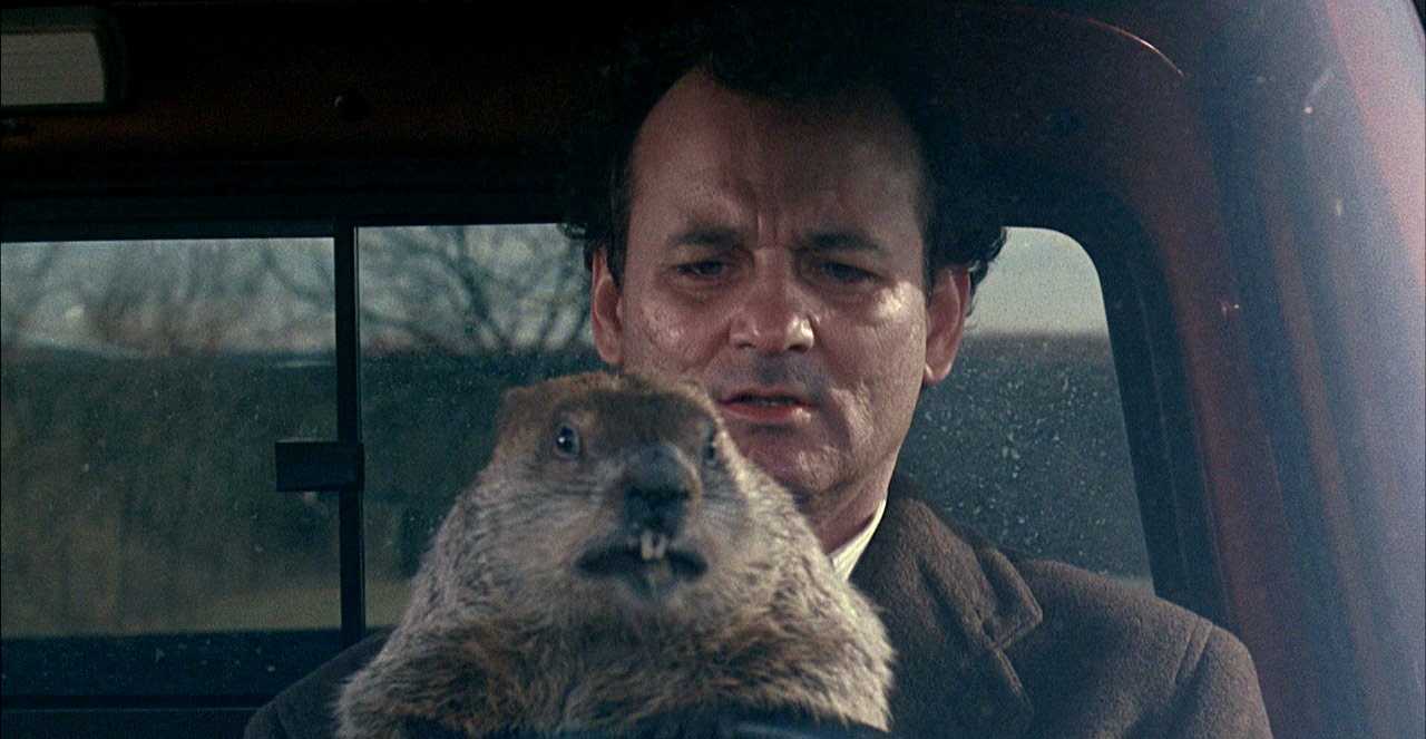 Groundhog day