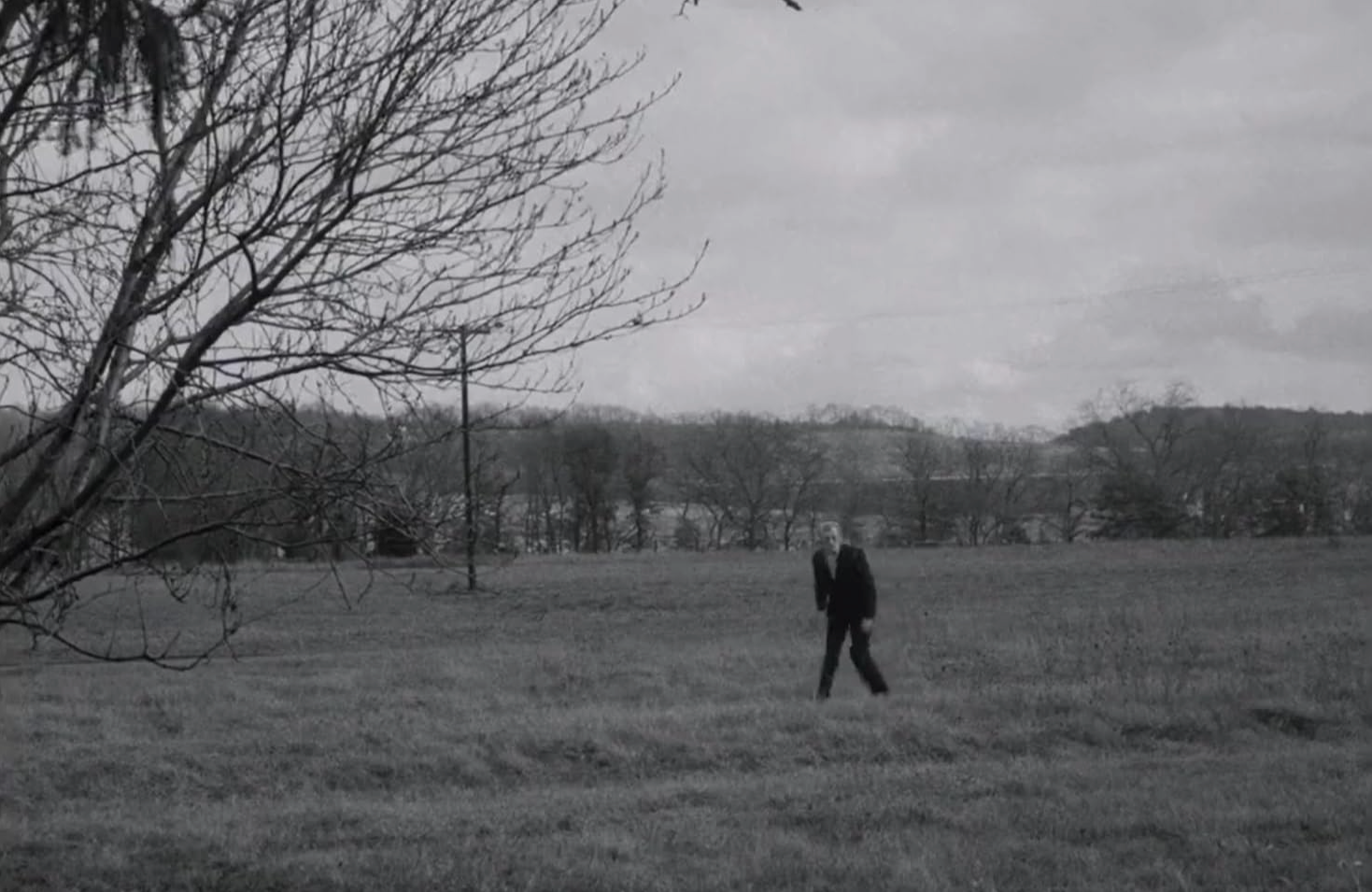 Afbeelding van een veld waarin een zombie rondloopt.