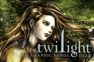 Twilight Graphic Novel; goed getekend, slecht leesbaar