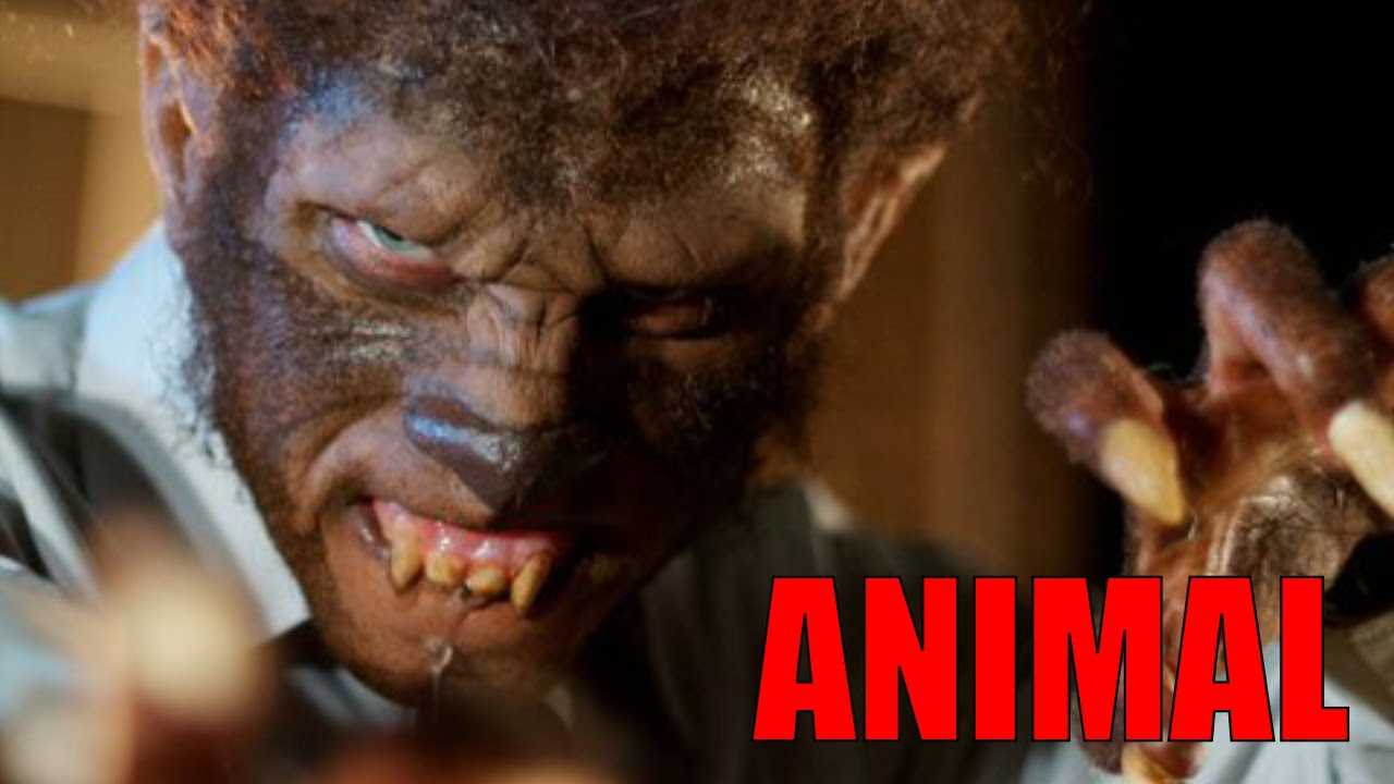 Korte horrorfilm: Animal