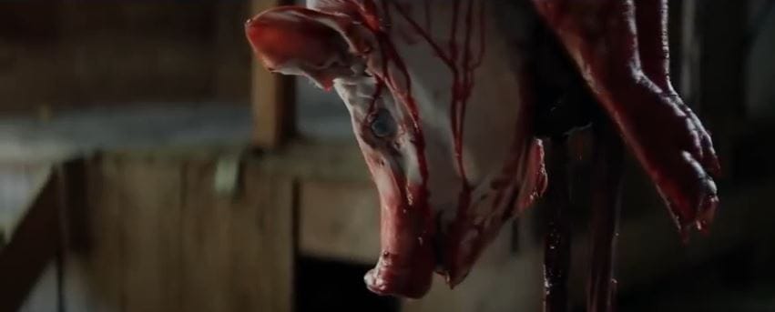 Cabin Fever remake trailer: zoek de verschillen