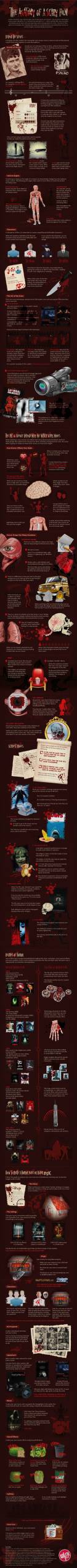 Infographic: Anatomy of a Scary Film