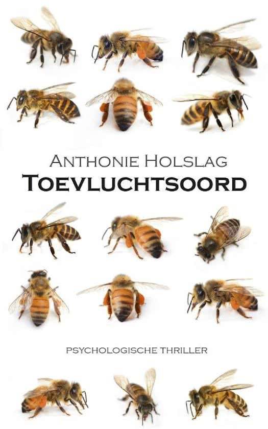 Recensie: Toevluchtsoord (Anthonie Holslag)