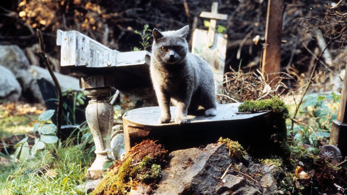 Wordt Pet Sematary engste film ooit?