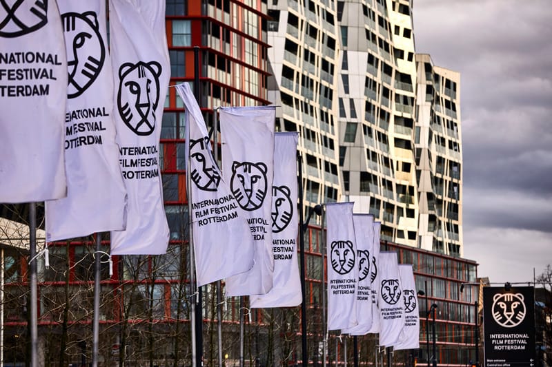 Horror op het IFFR 2020