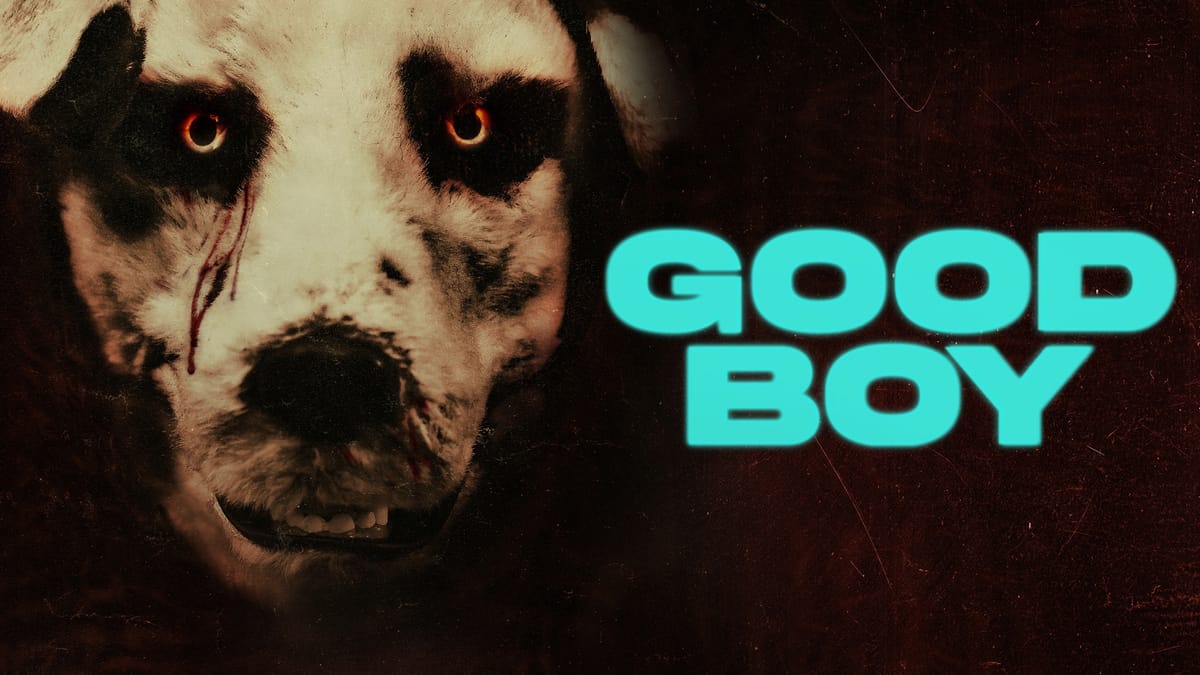 Recensie: Good Boy - Door de ogen van een hond