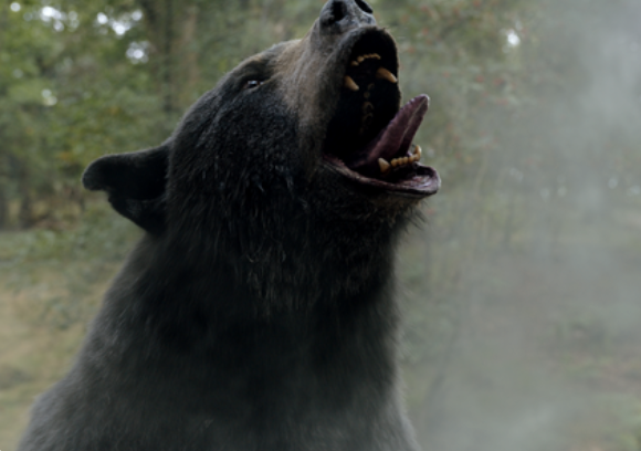 Toxic Terror - onze top 6 horrorfilms met drugs