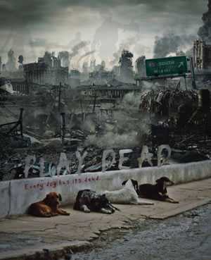 Play Dead: een schattige post-apocalyptische zombiefilm over honden?