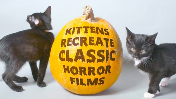 Klassieke horrorfilms nagespeeld met kittens!