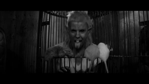 Tommy Cant Sleep - Korte film van  Die Antwoord met Jack Black