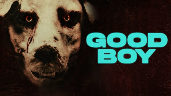 Recensie: Good Boy - Door de ogen van een hond