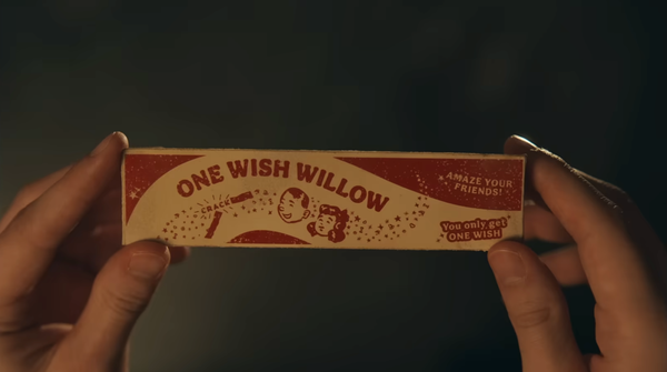 Een afbeelding van twee handen die een verpakking beethouden waarop het product One Wish Willow zit, een product met een wens er in.